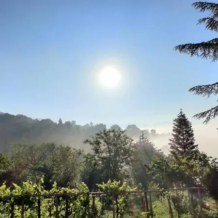Farm stay 