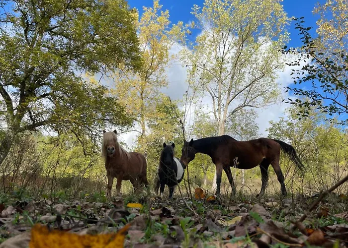 Фермерский дом 