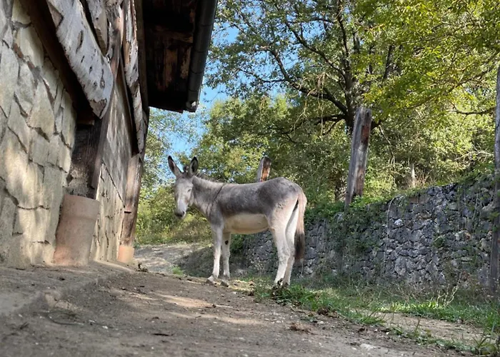 Фермерский дом 