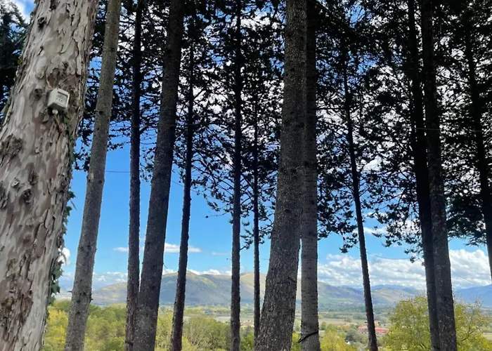 Фермерский дом 